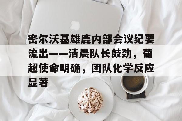 开云注册入口-密尔沃基雄鹿内部会议纪要流出——清晨队长鼓劲，葡超使命明确，团队化学反应显著的简单介绍